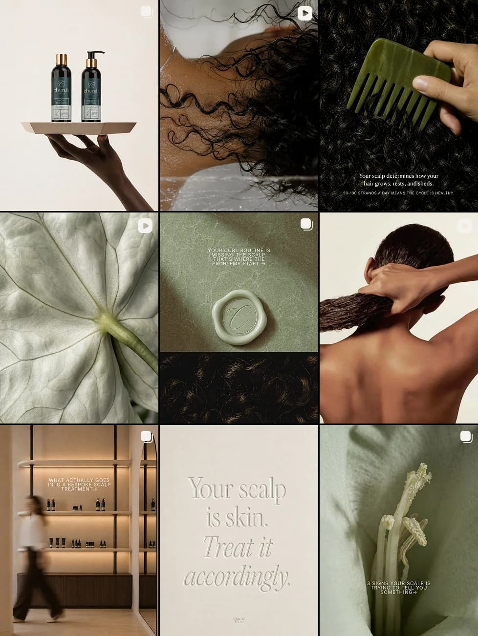The refreshed Cherub Tricho feed after the rebrand